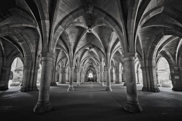 pillars in a cathedral
