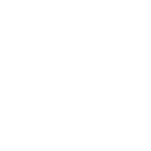 Digital Smiles logo