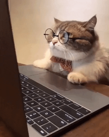 Amy's favourite GIF'