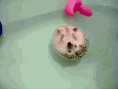 Jemma's favourite GIF'
