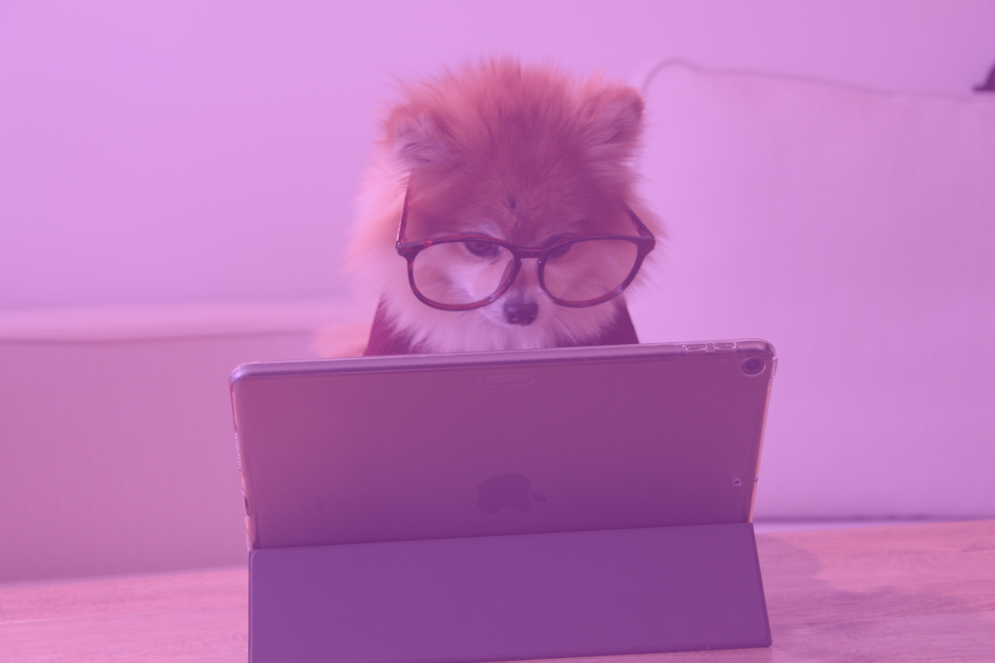 How to build a landing page that converts (5 useful tips) How to build a landing page that converts (5 useful tips)