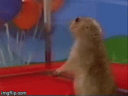 Brandon's favourite GIF'