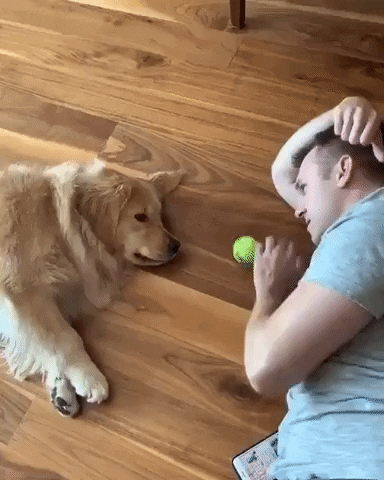 Simon's favourite GIF'